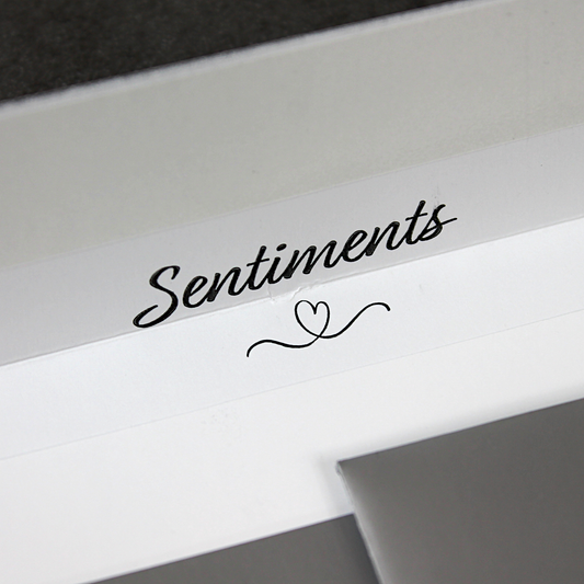 C5 162x229mm Silver Peel & Seal Envelopes (None Window)