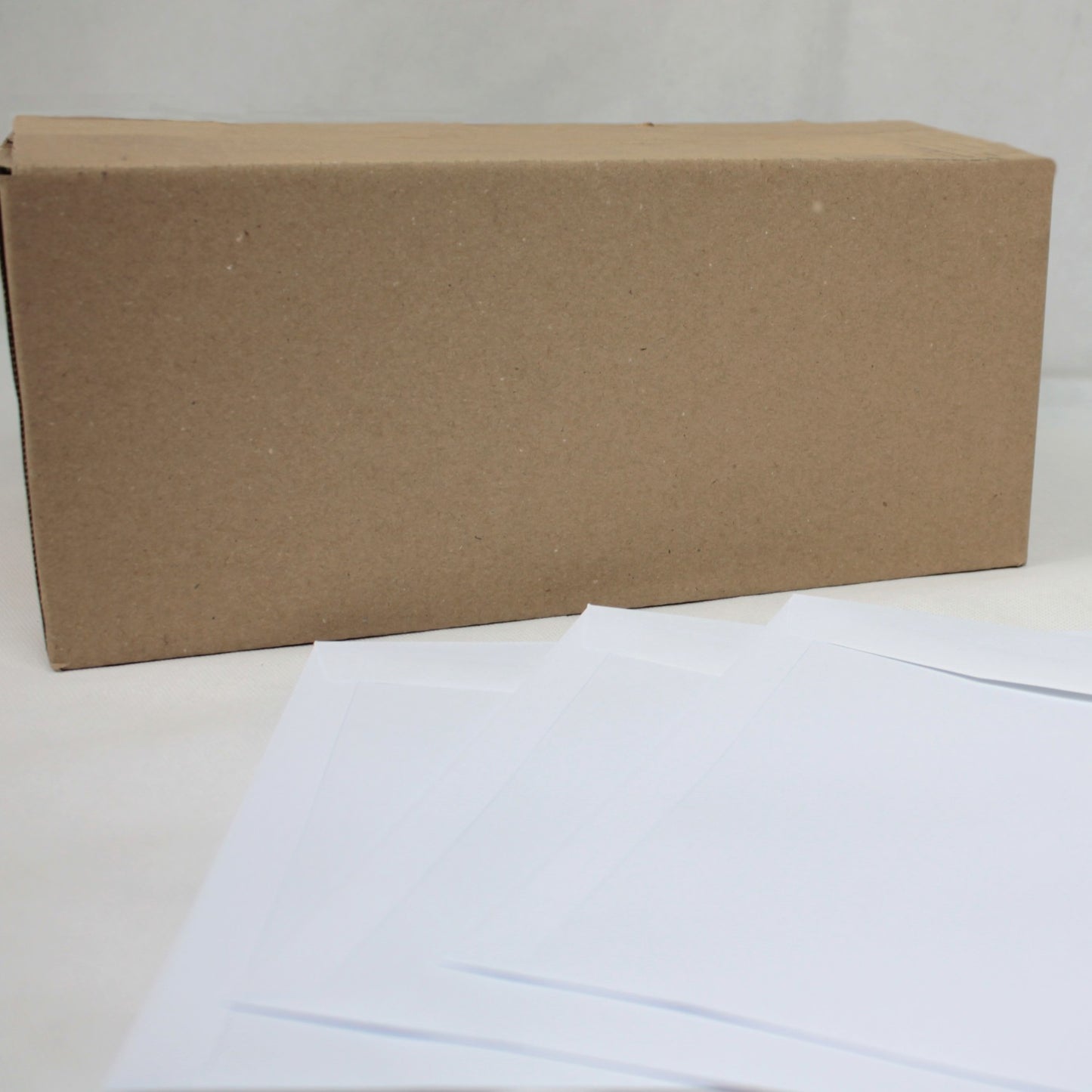229x324mm C4 White Gummed Envelopes (None Window)