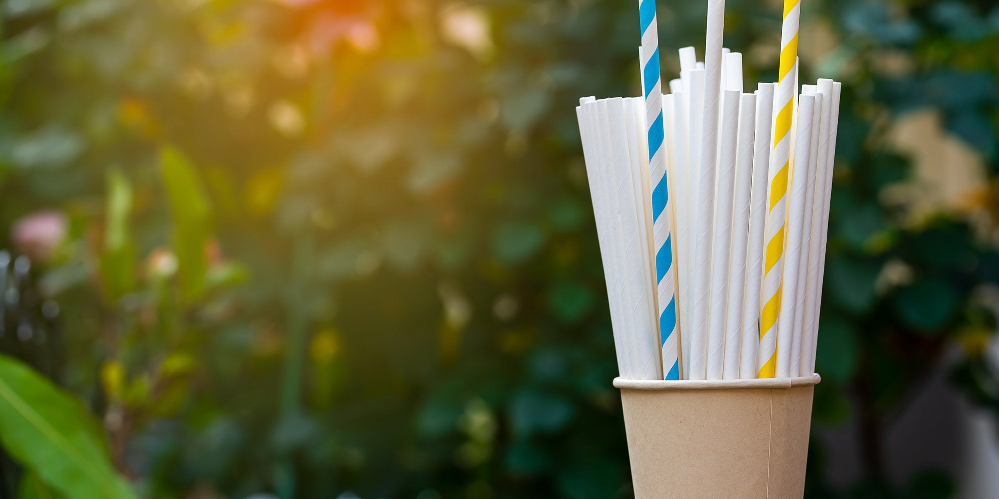 Drinkware, Paper Straws and Cups