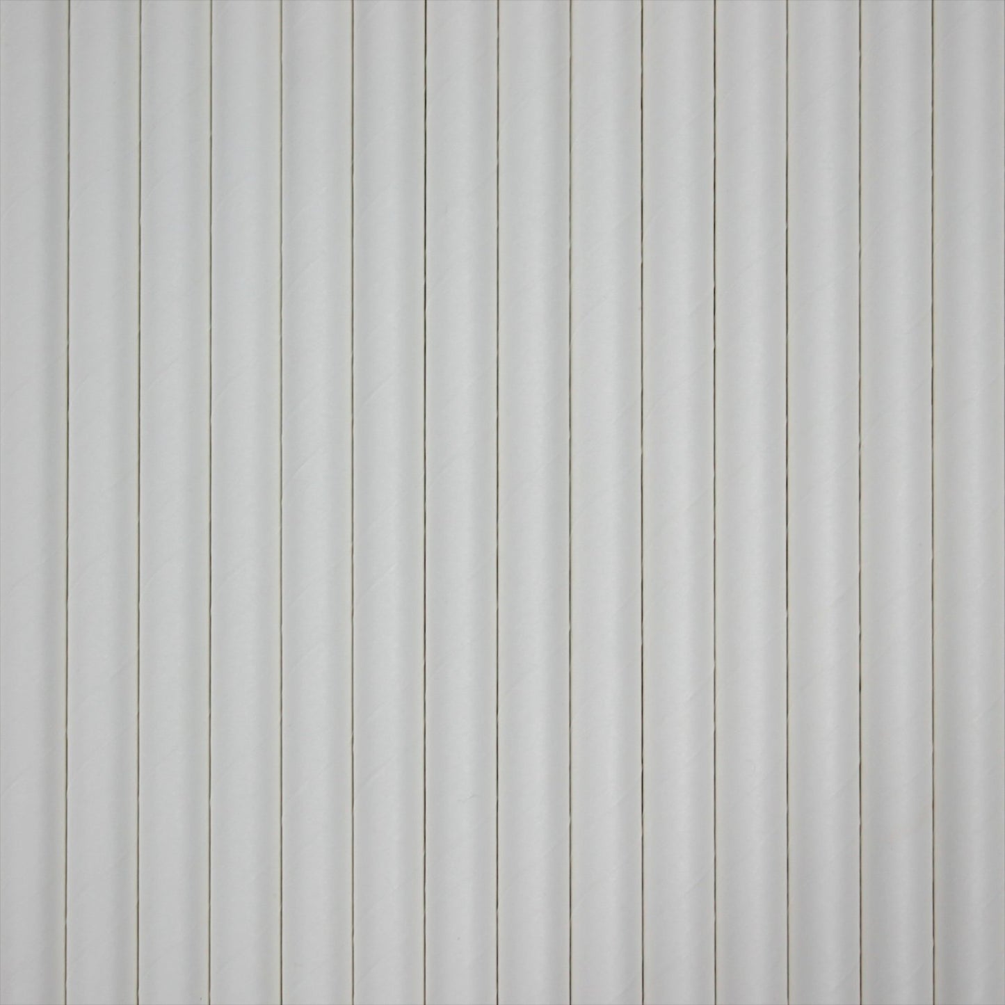 White Paper Straws (10mm x 200mm) - Quality Drinking Straws for Smoothies and Milkshakes - Intrinsic Paper Straws